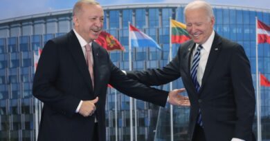 Erdogan seeks Biden meeting to discuss US warplane request