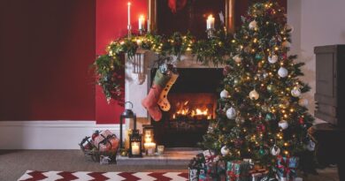 Christmas 2021: Try These Awesome Christmas Tree Decorating Ideas at Home This Time