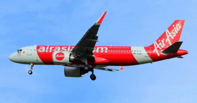 Watch: Passengers see a snake in AirAsia flights. Then...