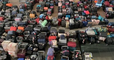 Heathrow airport turns an ocean of luggage after major technical snag. Passengers share clips and pics
