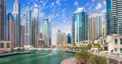Frequently rented properties in Dubai Marina