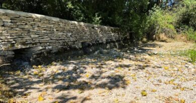 Thames River Source Driest Ever As England Braces For Drought