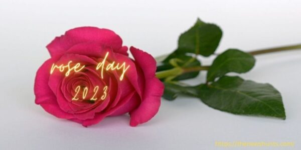 Rose Day Images