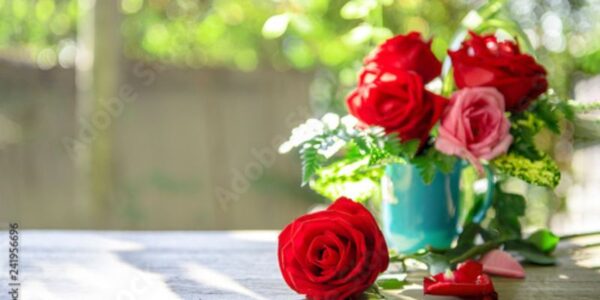 You are the rose of my life! Happy Rose Day!Cheers to eternal love and happiness. Happy Rose Day!The way you handle me delicately makes me feel like a beautiful flower taken good care of. I will continue to bloom in your love and shade. Happy Rose Day 2022!