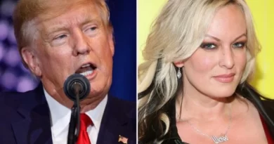 Who is Stormy Daniels and how is she involved in the Donald Trump indictment