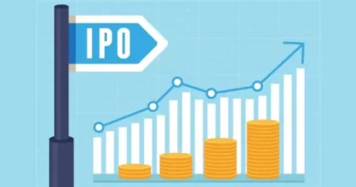 Initial Public Offerings (IPOs)